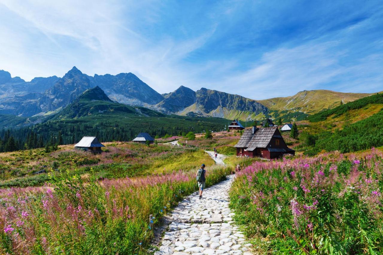 Apartament Chomikówka Zakopane Zewnętrze zdjęcie
