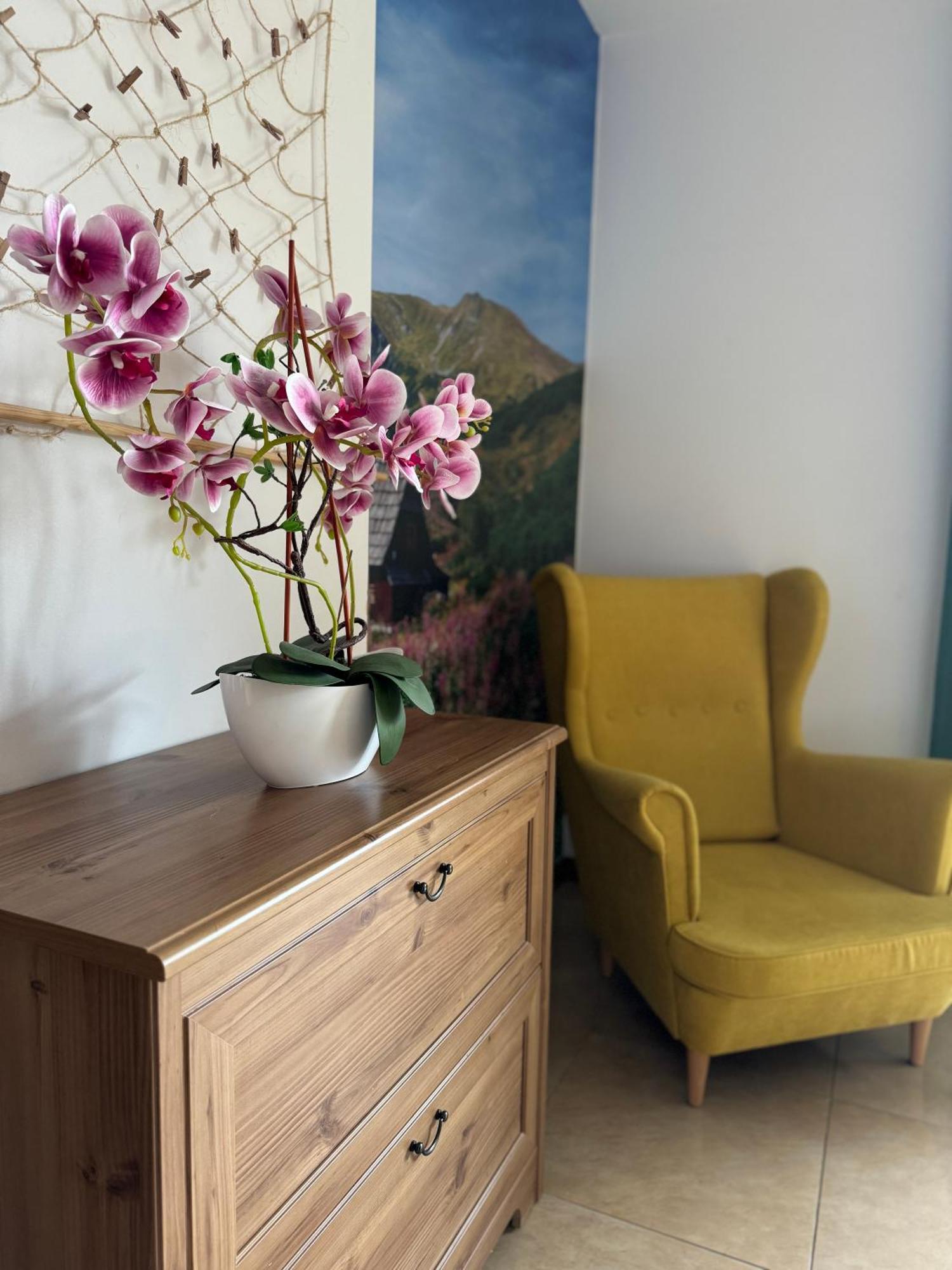 Apartament Chomikówka Zakopane Zewnętrze zdjęcie